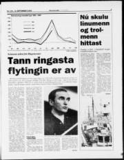 Síða 3