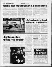 Síða 17