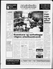 Síða 20