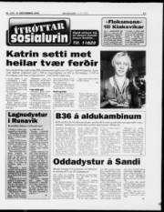Síða 15