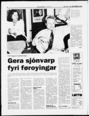 Síða 6