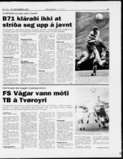 Síða 13