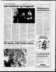 Síða 17