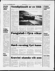 Síða 3