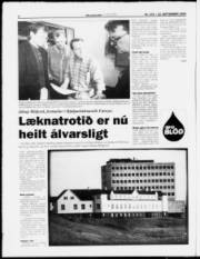Síða 4