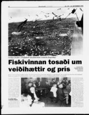 Síða 12