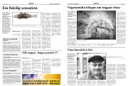 Síða 4