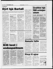Síða 15