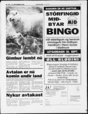 Síða 3