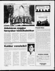 Síða 17