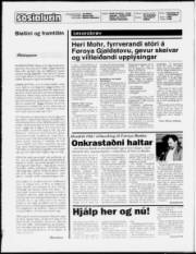 Síða 2