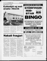 Síða 3