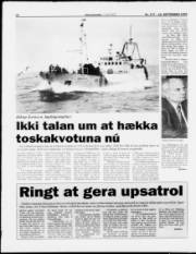 Síða 14