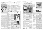Síða 10