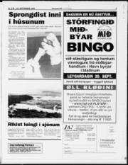 Síða 3