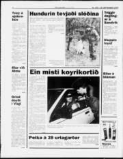 Síða 4