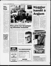 Síða 5