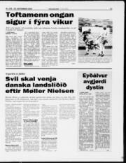 Síða 13