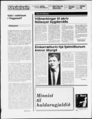 Síða 2