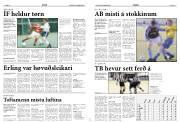 Síða 13