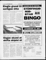 Síða 3