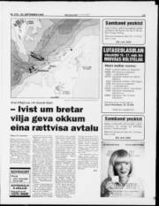 Síða 11