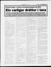 Síða 14