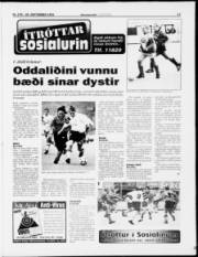 Síða 17