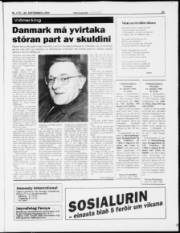Síða 21