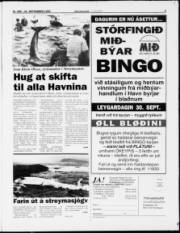 Síða 3
