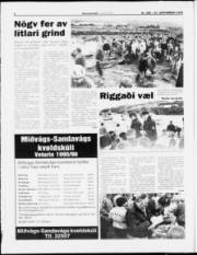 Síða 4