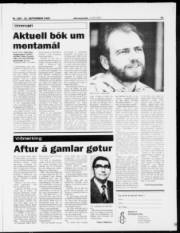 Síða 11