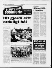 Síða 13