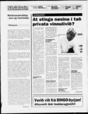 Síða 2