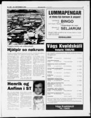 Síða 3