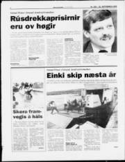 Síða 4