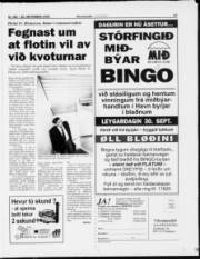 Síða 17