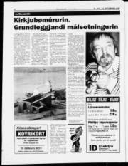 Síða 22