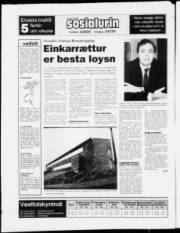 Síða 28