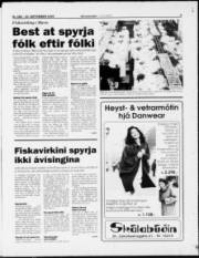 Síða 3