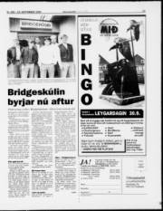 Síða 15