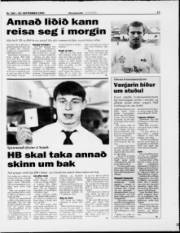 Síða 17