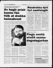 Síða 5