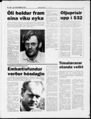 Síða 7