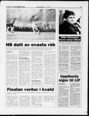 Síða 13