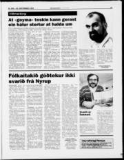 Síða 19