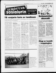 Síða 12