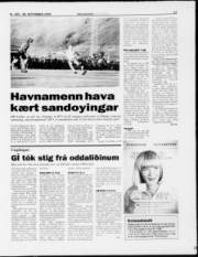 Síða 13