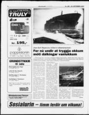 Síða 8