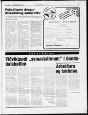 Síða 21